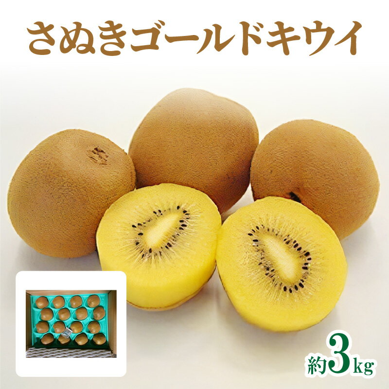 【ふるさと納税】さぬきゴールドキウイ　約3kg【2025-10月中旬～2026-1月下旬配送】 | 化粧箱入り キウイ 甘い 大きい 果物 フルーツ デザート スイーツ 産地直送 ギフト 贈り物 贈答用 プレゼント 食品 人気 おすすめ お取り寄せ お取り寄せグルメ