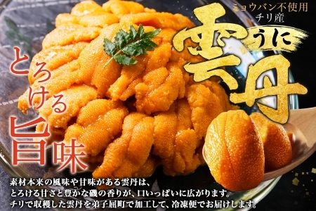 2134. 無地熨斗 ウニ チリ産 冷凍 うに 海鮮 ウニ 200g 4人前 雲丹 丼 海鮮 丼 セット うに 熨斗 のし 名入れ不可 送料無料 北海道 弟子屈町