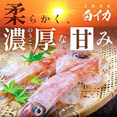 ふるさと納税 京丹後市 BBQにぴったり!白イカ(ケンサキイカ)　調理済み　正味1kg入り(4〜8匹)　※小分け真空包装 |  | 01