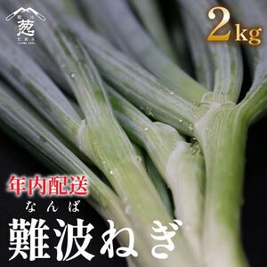 《先行予約》《年内発送》12月配送 幻のねぎ 難波葱 2kg ねぎ 葱 鍋 青ねぎ 白ねぎ 野菜 旬 やさい 産地直送 採れたて 直送 フルーツ 果物 と同糖度 なにわ 伝統野菜 鍋セット 河内 大阪府 松原市 ねぎ 葱 ねぎ 葱 ねぎ 葱 ねぎ ねぎ 葱 ねぎ 葱 ねぎ 葱 ねぎ 葱 葱 ねぎ 葱 ねぎ 葱 ねぎ 葱 ねぎ 葱 ねぎ 葱 ねぎ 葱 ねぎ 葱 ねぎ 葱 ねぎ 葱 ねぎ 葱 ねぎ 葱 ねぎ 葱 ねぎ 葱 ねぎ 葱 ねぎ 葱 ねぎ 葱