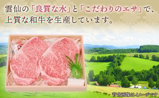【受賞歴多数！】長崎和牛 サーロイン ステーキ 約1.0kg【株式会社 OGAWA】 [QBI004] 牛肉 和牛 焼き肉 バーベキュー 6万1千円 61000円