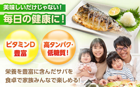 サバ切身　500g[Y-094002]