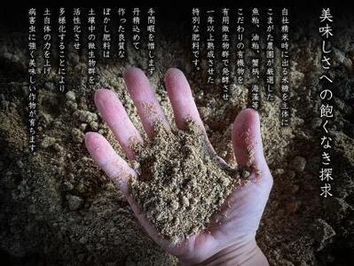 【頒布会】5kg×12ヶ月　最高金賞受賞  数量限定雪室貯蔵　南魚沼産コシヒカリ「こまがた家のお米」