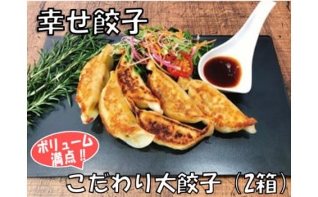 餃子 幸せ餃子のボリューム満点こだわり大餃子（2箱）/ 餃子 ギョウザ 手作り ジャンボ 餃子 １０個入り ２箱  餃子 006-20