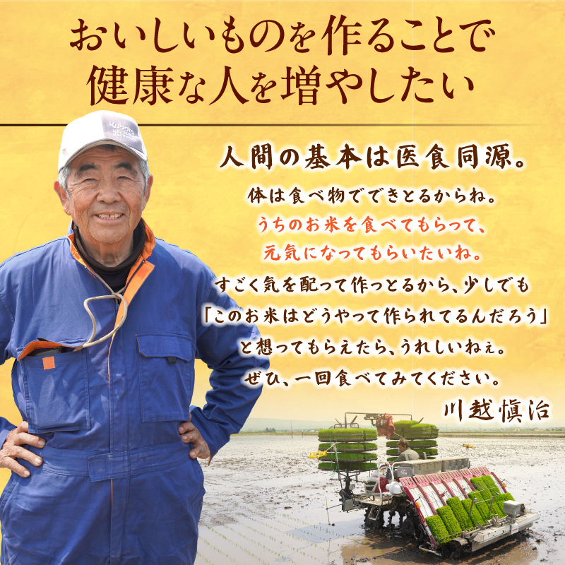 【最短4～7営業日発送】令和7年産 川越さんちの おぼろづき 10kg (5kg×2袋) 雨竜産 おぼろづき 精米 10kg お米 おにぎり お弁当 お取り寄せ 北海道 雨竜町