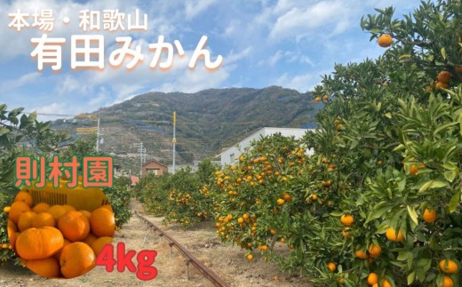 
            則村園産 有田みかん 約4kg
          