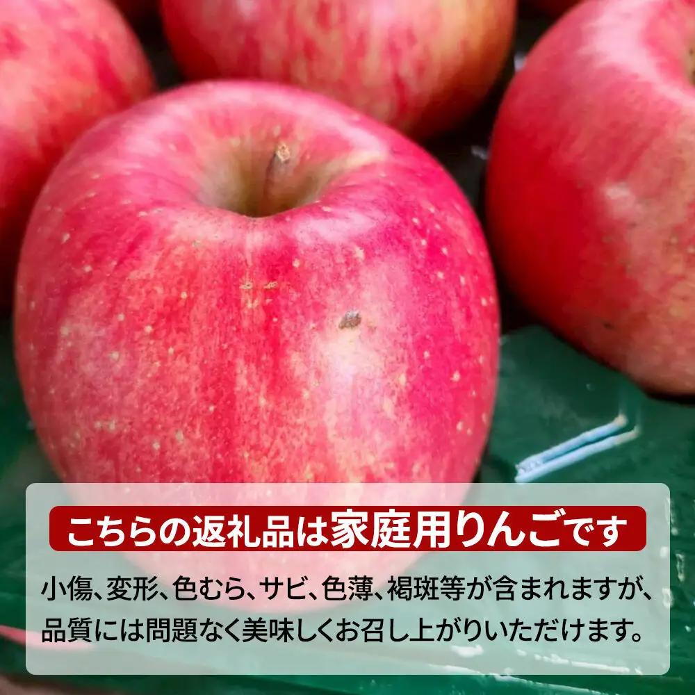 【26年11月下旬発送】りんご 葉とらずサンふじ【訳あり】家庭用 約10kg