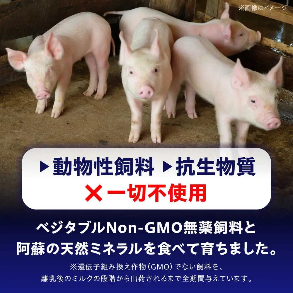 『香心ポーク』切り落とし ミンチ セット  各約250g×4パック 豚肉切り落とし ミンチ[AYCK018]