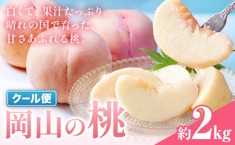 ＼豊作につき特別寄附額／ 最短翌日発送！ 桃 岡山の桃 約2kg《1-5営業日発送》岡山県 笠岡市 白桃 岡山 はくとう スイーツ フルーツ 果物 デザート 旬 モモ もも 送料無料 果物 清水白桃 白鳳 白麗 クール便