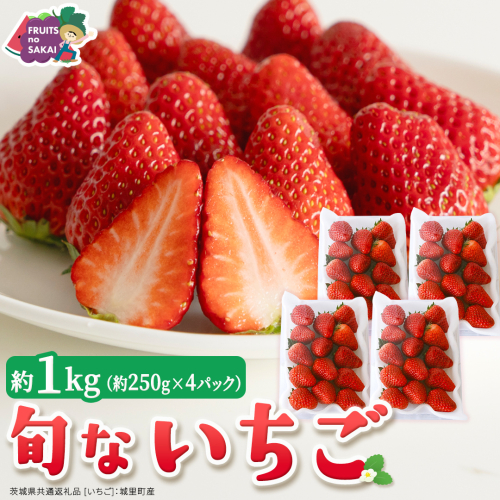 旬ないちご品種おまかせ（約250g×4パック）【2027年1月から発送開始】（茨城県共通返礼品 [いちご]：城里町産） 果物 くだもの フルーツ イチゴ 苺 旬 品種おまかせ 人気 [FC104-NT]