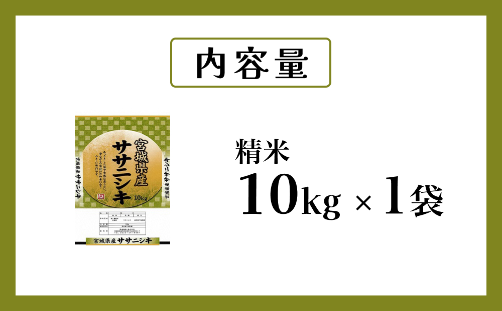 令和6年度産 ササニシキ精米１０kg お米 米 ごはん ご飯 飯 一等米 単一銘柄米 主食 美味しい