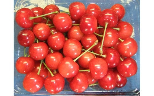 さくらんぼ（佐藤錦）５００ｇ　ご家庭用　0112-2609
