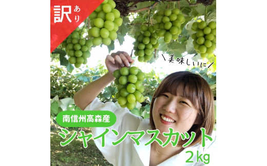 シャインマスカット 訳あり２kg（3～6房） 9月下旬より発送 長野県 信州 南信州 高森町 農家直送 果物 くだもの ぶどう 旬のぶどう シャイン ご家庭用 ともの谷農園