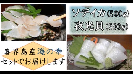 【2025年12月から発送】【真空冷凍】夜光貝の刺身500ｇ・冷凍ソデイカ500ｇセット