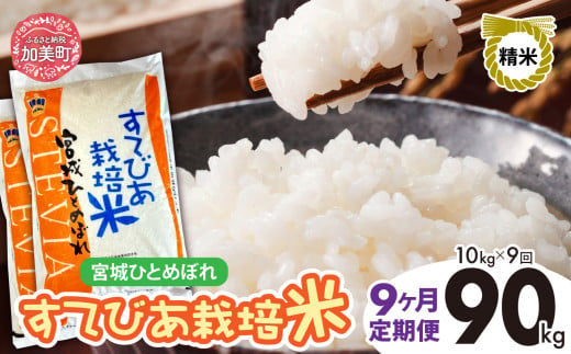 【9回定期便】新米 精米 令和6年度産 すてびあ栽培米 宮城県産 ひとめぼれ90kg (10kg×9回) [菅原精米工業 宮城県 加美町 ] ｜ sw00002-r6-10kg-9