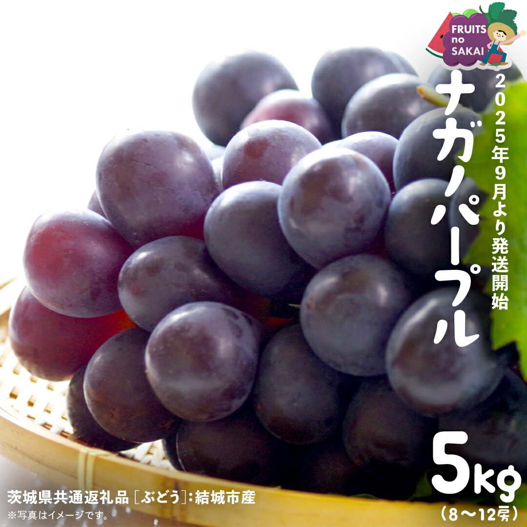 【ふるさと納税】ナガノパープル 5kg （8～12房）【2025年9月より発送開始】（茨城県共通返礼品 [ぶどう]：結城市産） 葡萄 黒ぶどう 旬 お取り寄せ フルーツ 希少品種 デザート