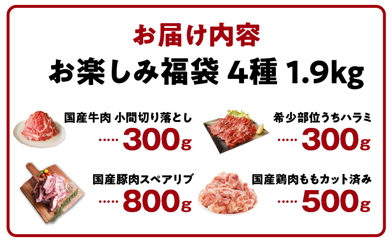 【夏の肉福袋】4種 1.9kg 焼肉セット（牛肉 切り落とし／牛ハラミ／豚肉 スペアリブ／鶏肉）【氷温熟成×極味付け 焼くだけ 食べ比べ ふくぶくろ お楽しみ 簡単調理】 mrz0154
