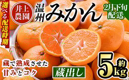 ＜2月下旬より順次発送予定＞大分県宇佐市産 蔵出し みかん(約5kg)ミカン 蜜柑 柑橘 フルーツ 果物 くだもの 果実 国産 熟成【103640500】【井上農園】