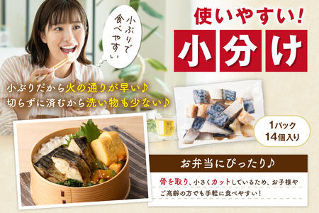 【訳あり】 さば 骨取り塩サバ 定期便（42切れ×3回）鯖