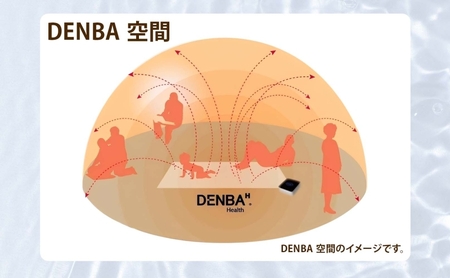 DENBA Health Standard マット 2枚同時に接続 同時に2名使用 マット 敷くだけ 睡眠時 スリープテック 睡眠 快眠 電場 家庭用 機器 電子機器 水分子ケア ケア 鮮度保持技術 