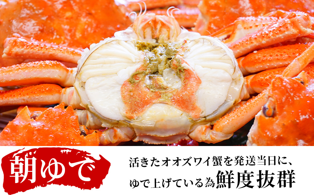 北海道産【 朝ゆで 】訳ありオオズワイガニ 1.0kg詰 ＜かにのマルマサ＞道産品 オオズワイ ズワイガニ ずわい蟹 カニ 蟹 規格外品 不揃い 訳アリ 訳有り