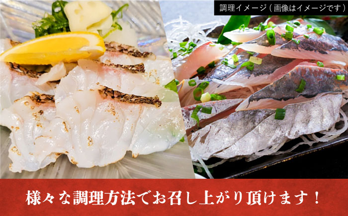 【全4回定期便】【五島列島・直送】朝獲れ！高級鮮魚セット2kg 五島市 / 鯛福丸水産 [PDP005]