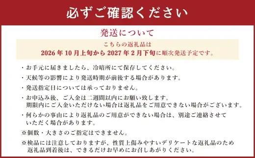 ＜ R8年熊本地震復興支援 ＞みかん 秀品 約10kg ミカン 果物 くだもの フルーツ 果実 極早生みかん 柑橘類 柑橘系 柑橘 国産 熊本県産 露地栽培 【 2026年10月上旬から2027年2月