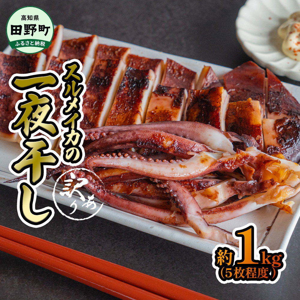 ★訳あり★スルメイカの一日干し 約1kg 5枚 冷凍 一日干し 干物 加工食品 肉厚 海鮮 うまみ おつまみ 酒のお供 冷凍 1枚約200g 産地直送 冷凍配送 焼くだけ 簡単 国産 お取り寄せグルメ 高知県産 土佐 高知 返礼品 故郷納税 ふるさとのうぜい 田野町