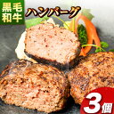 【ふるさと納税】肉 黒毛和牛 ハンバーグ 天空和牛ハンバーグ 約300g (約100g×3個)《30日以内に出荷予定(土日祝除く)》有限会社松牛 和歌山県 紀の川市 熊野牛 紀の川天空和牛 惣菜 おかず