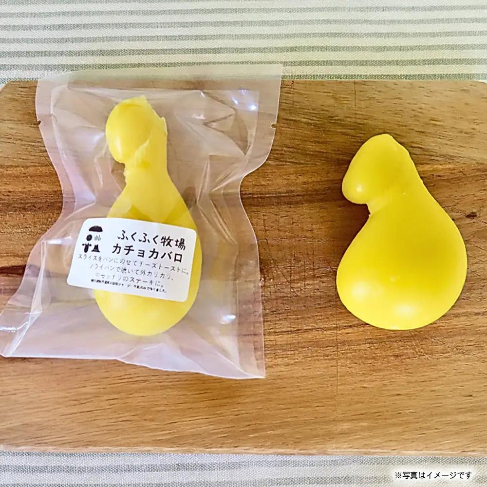 ふくふく牧場 ふくふくチーズ 6点セット （6種 合計約500g）| 国産 チーズ グラスフェッド 放牧 【牛飼いの手作りチーズ】 詰め合わせ バラエティ ギフト 贈り物 プレゼント