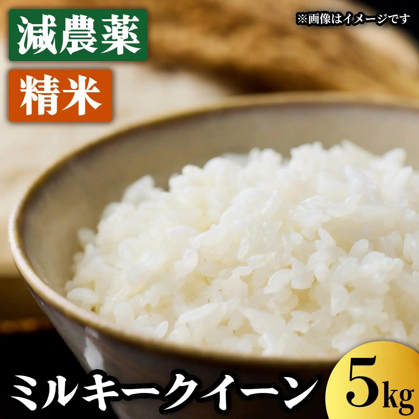 【令和7年度産】減農薬ミルキークイーン 精米 5kg / 米 農家直送 低農薬 綾部市 / 森本ファーム［BSDH130］