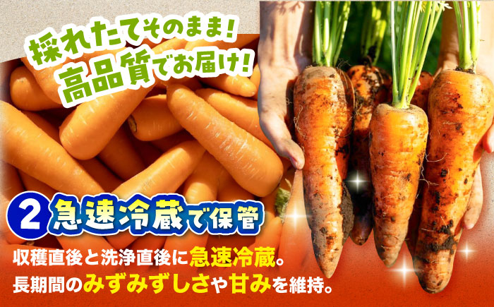 にんじん ニンジン 野菜 β-カロテン 食物繊維 抗酸化作用 栄養満点 熊本県産 菊陽町 