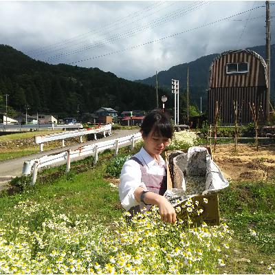 ふるさと納税 糸魚川市 糸魚川能生谷産カモミィールティー　テトラパック詰2g×6P　2袋セット |  | 02