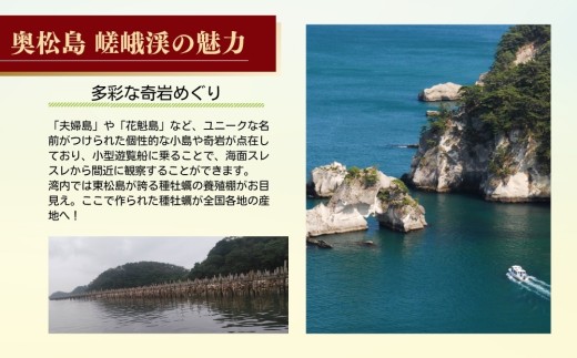 奥松島 嵯峨渓 貸切 クルーズ 1～10名様 日本三大渓 絶景 サンセットクルーズ 乗船券 観光船 宮城県 東松島市