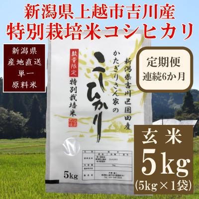 ふるさと納税 上越市 【毎月定期便】新潟県上越市吉川区国田産/特別栽培米コシヒカリ 玄米5kg(1袋)全6回