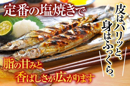 【北海道根室産】冷凍さんま20尾 A-70003