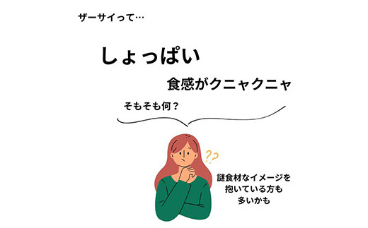 パリッと食感！オリジナルザーサイ 1kg  漬け物 保存食 ご飯のお供 おつまみ 漬物 加工品 食品 F20C-894