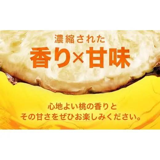 パイナップル 【先行予約】ピーチパイン1ｋｇ（1～2玉）　KN-4