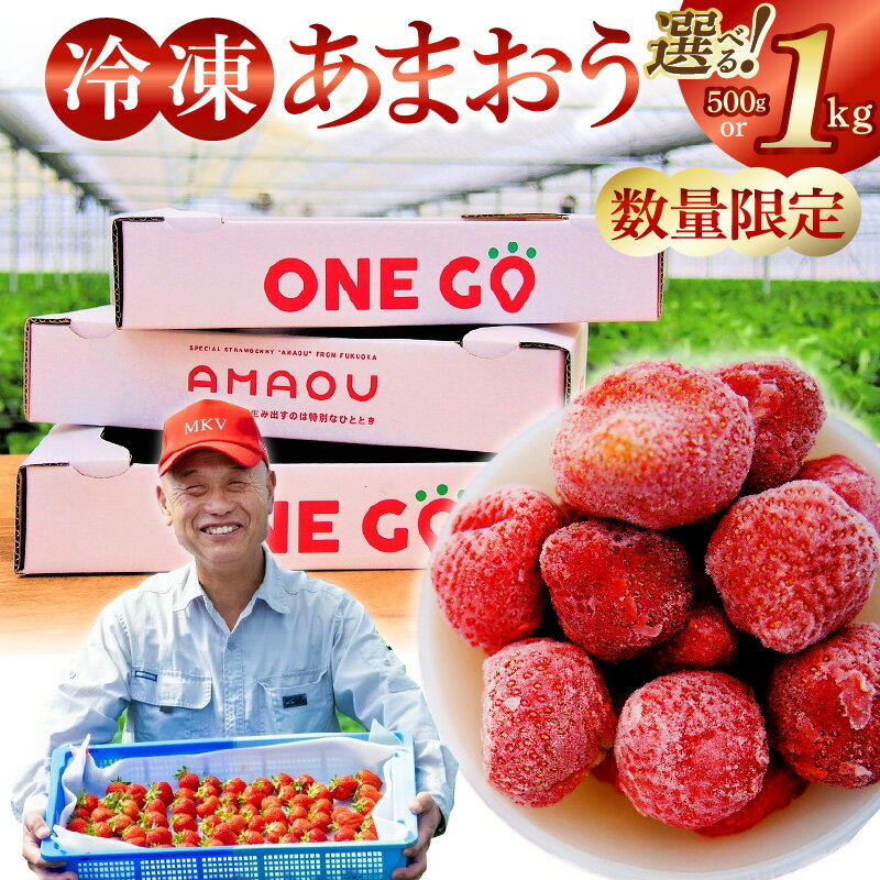 【ふるさと納税】福岡県産あまおう 選べる 500g 1kg 特別栽培 数量限定 急速冷凍 いちご あまおう 冷凍 3Dフリーザー 長期保存可能 国産 シャーベット フルーツ デザート 果物 保存料不使用 福岡県 久留米市 送料無料