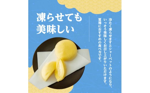 かすたどん 16個入　K167-001