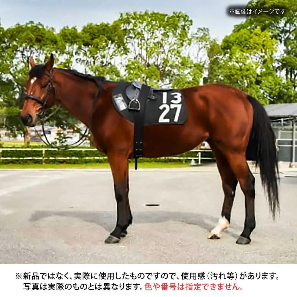 【JRA】調教用ゼッケンと騎手サイン色紙 (栗東カラー) BIAM003 競馬