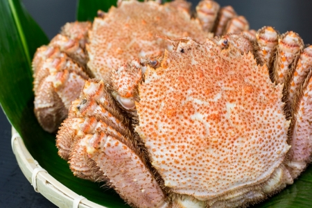 【北海道根室産】毛蟹700g×1尾 C-66016