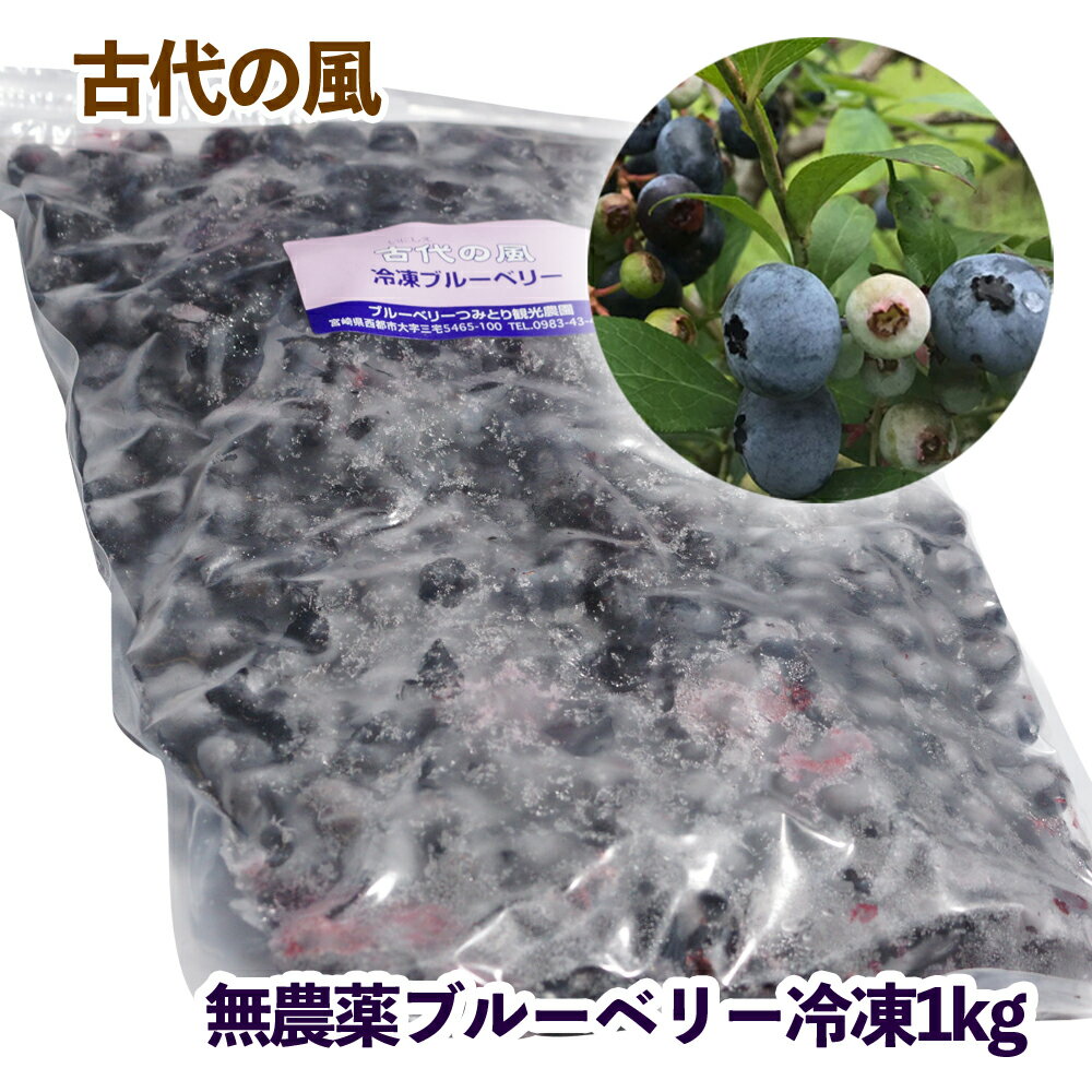 【ふるさと納税】無農薬【冷凍】『ブルーベリー』1kg 西都市「先行予約」『古代の風』国産 宮崎県西都市産 数量限定 先行予約 楽天限定