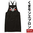 【ふるさと納税】くまモンエプロン くまモン 雑貨 日用品 キッチン ご当地 キャラクター ゆるキャラ エプロン 大人用 フリーサイズ ポリエステル65％ 綿35％ 九州 熊本県 送料無料