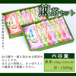 山口園の一番人気の茶葉！小さいお茶屋の煎茶セット(煎茶100g×14本・合計1.4kg) 飲料 お茶 緑茶 【お茶の山口園】B-108
