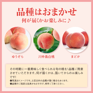 【先行予約】 数量限定 令和8年産 もも 5～7玉 品種 おまかせ 2026年8月中下旬～9月上旬頃 お届け予定