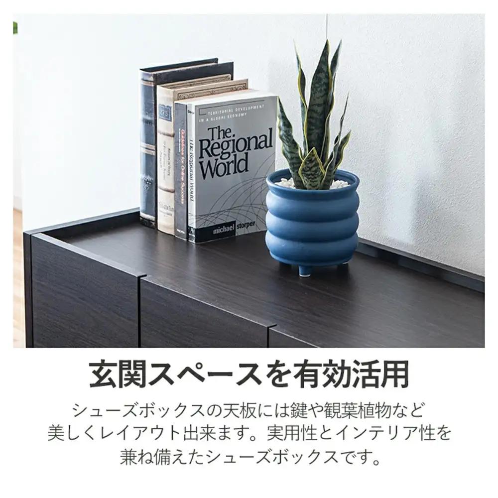 玄関収納 多目的収納 120 ロータイプ ホワイト シューズボックス 靴箱 食器棚 シンプル 開き扉 可動棚 収納棚 水洗い可能棚板 耐水 大川 家具