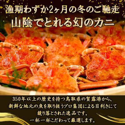 ふるさと納税 智頭町 【冬の味覚】松葉ガニのメス(セイコガニ・親がに)　活生セコガニの姿 約1kg 5〜8枚 鳥取県智頭町 |  | 03