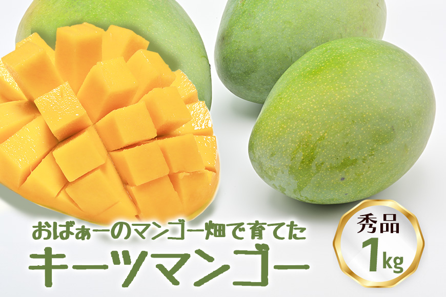 【2026年発送】おばぁーのマンゴー畑で育てたキーツマンゴー1kg（秀品） 17-2