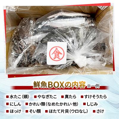 ふるさと納税 網走市 【訳あり】網走産冷凍鮮魚BOX〜未利用魚の有効活用(漁業生産者応援企画)〜 |  | 03
